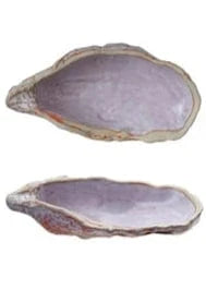 oyster shell dish