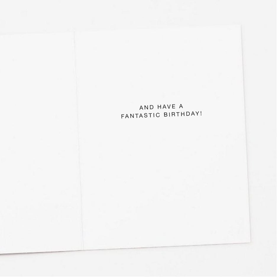 Apartment 2 Cards Apartment 2 Cards Raccoon Eat Cake Birthday Card - Little Miss Muffin Children & Home