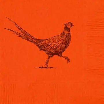 Alexa Pulitzer Alexa Pulitzer Pheasant Strut Orange Beverage Napkins - Little Miss Muffin Children & Home