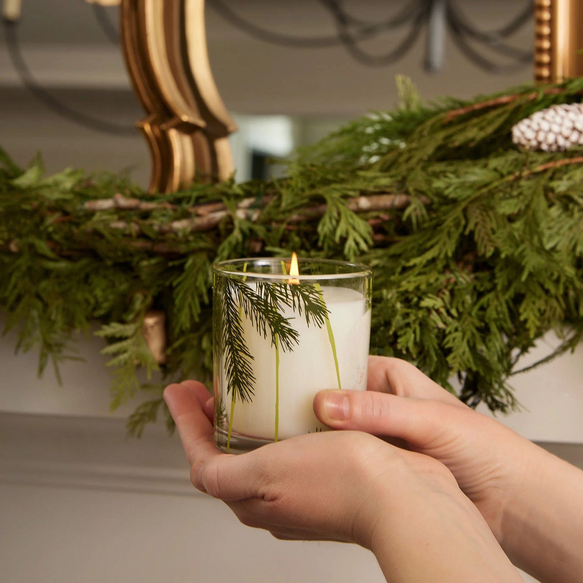 Thymes Thymes Frasier Fir Poured Candle, Pine Needle Design - Little Miss Muffin Children & Home