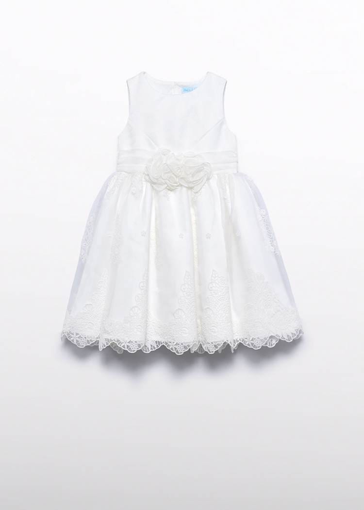 Embroidered Organza Dress