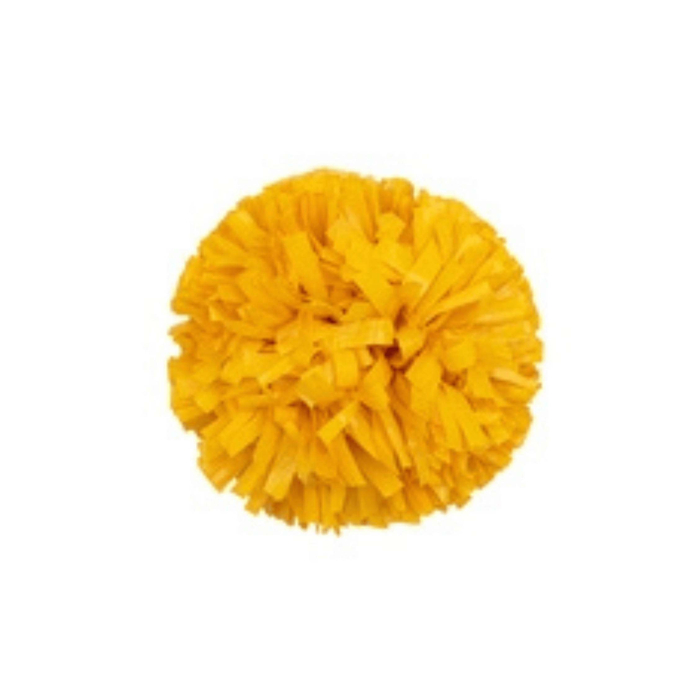 gold pom pom