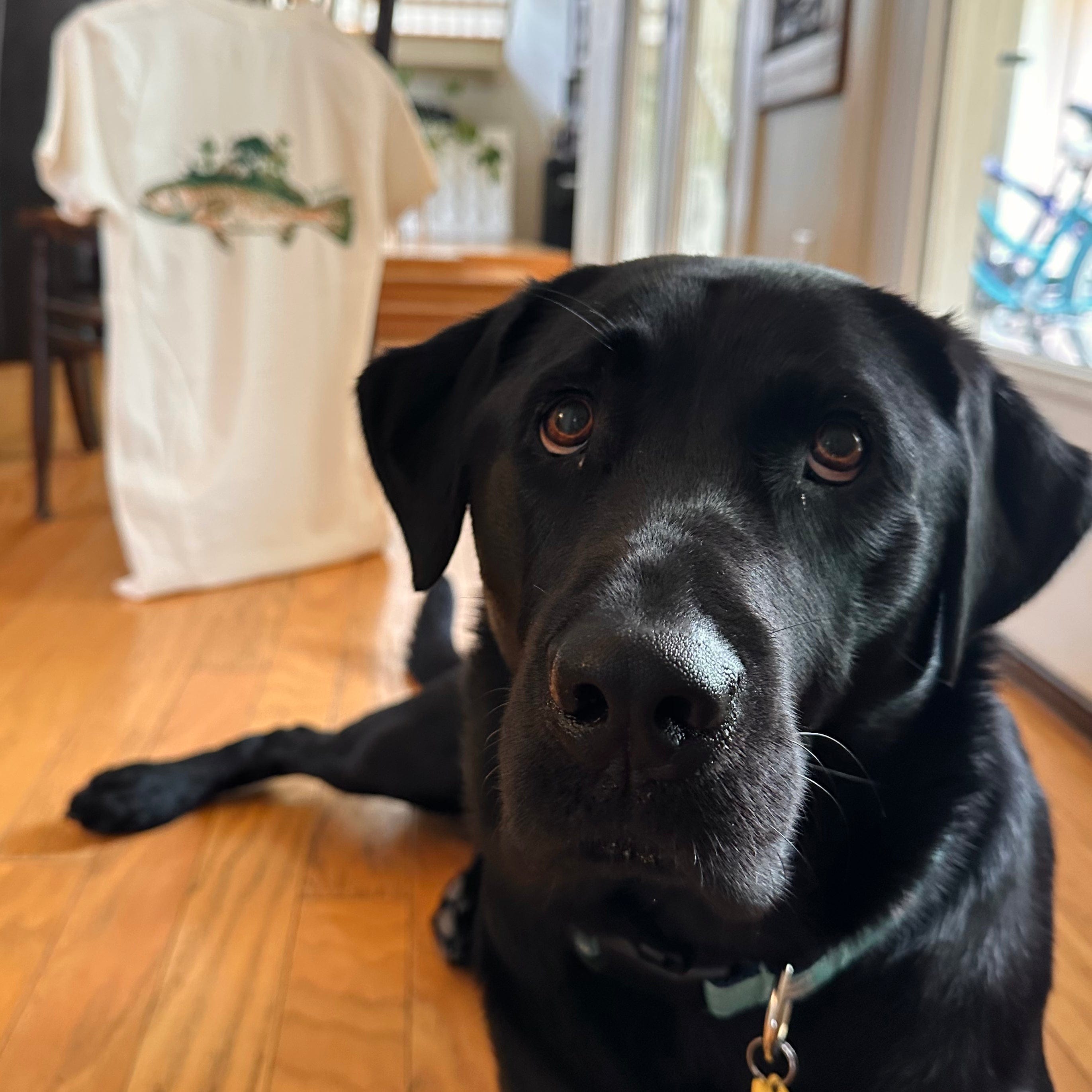 Whereable Art WHEREable Art Sportsman Paradise Speckled Trout Tee - Little Miss Muffin Children & Home