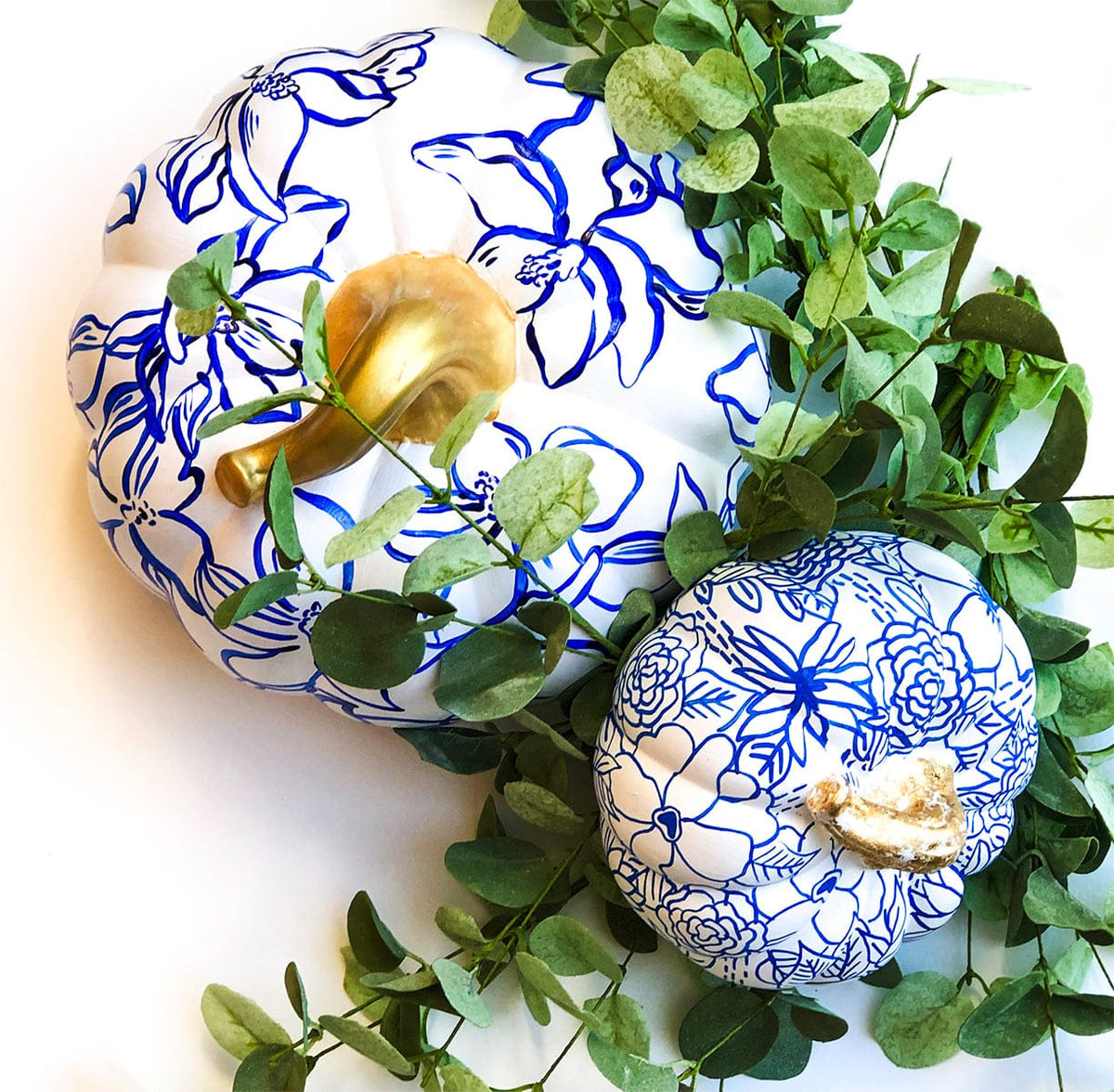 Large Blue Magnolia Pumpkin
