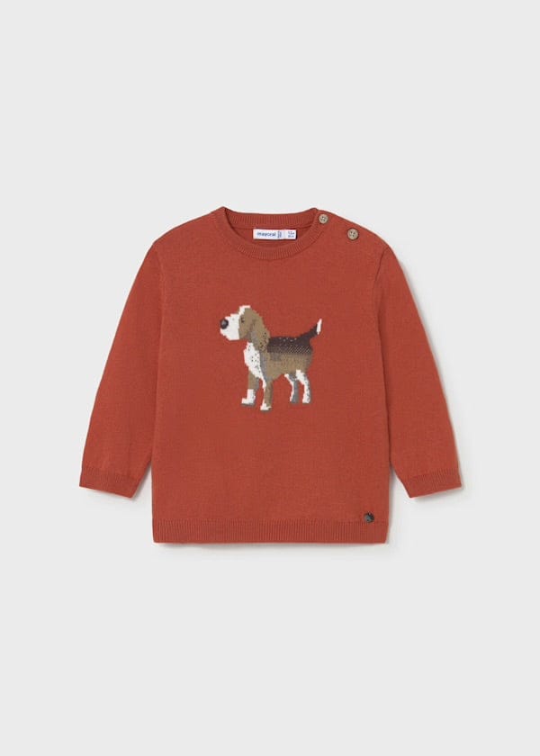 Orange boys sweater with puppy dog