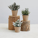 Creative Co-op Faux Greens with Red Berries in Paper Mache Pot, Snow Finish, 3 Styles