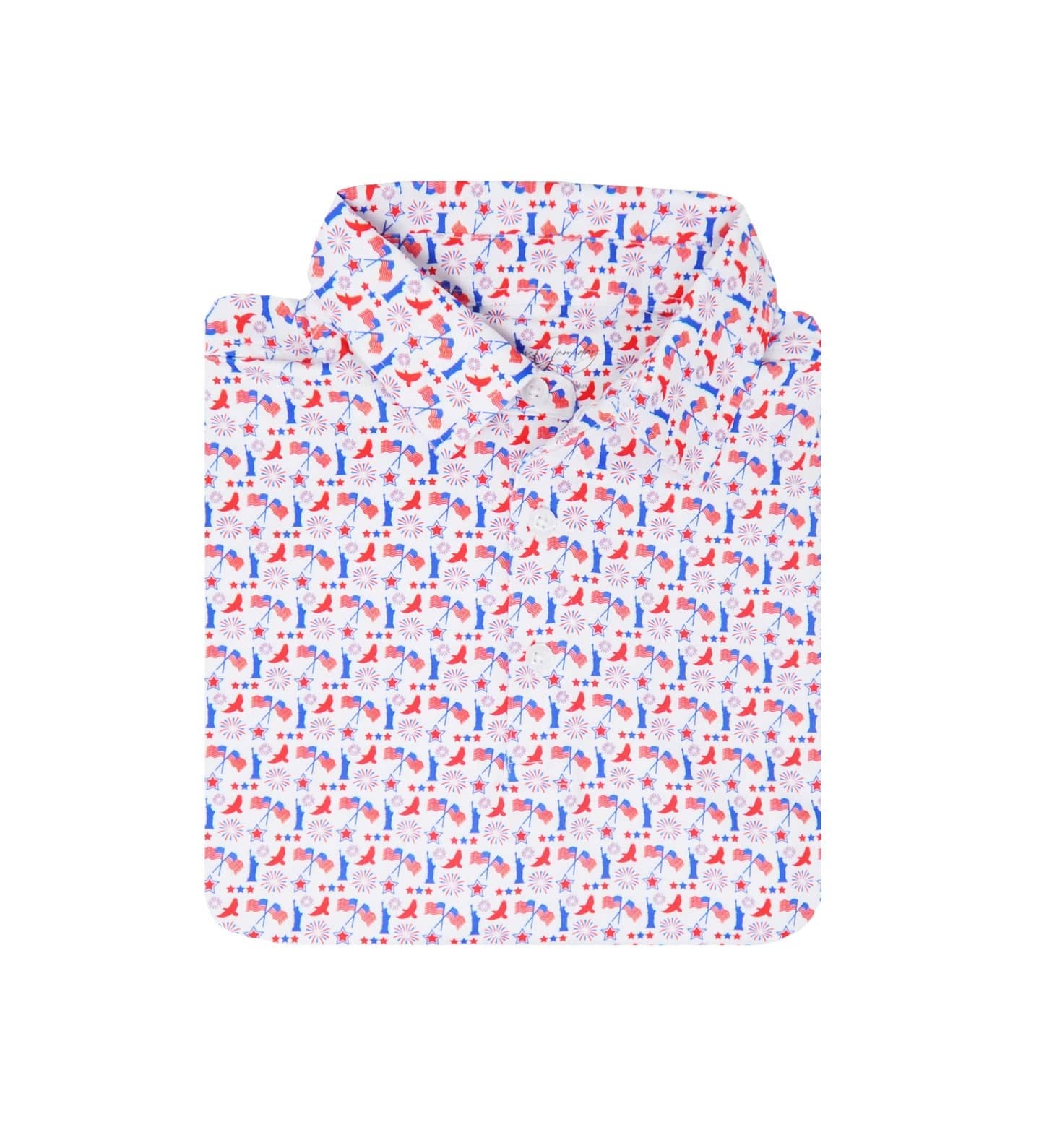 Americana Print Boy's Albatross Polo