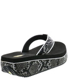 Volatile Shoes Volatile Boreno Snake Print Low Wedge Sandal - Little Miss Muffin Children & Home