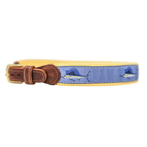 Bailey Boys Bailey Boys 1000-BUDDY-SFISH BELT, SAILFISH - Little Miss Muffin Children & Home