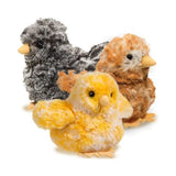 Douglas Toys Douglas Toys Chicks Toy - Little Miss Muffin Children & Home