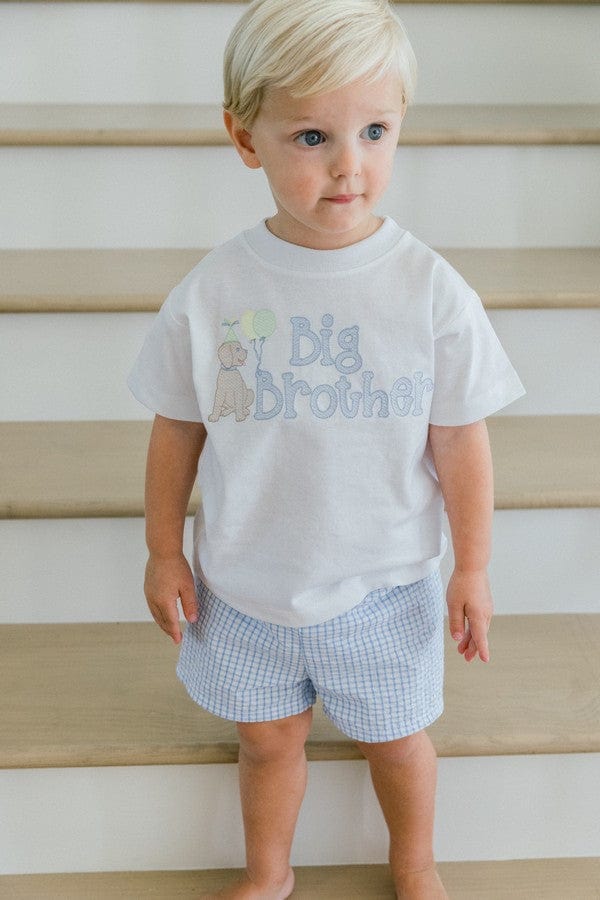 Bailey Boys Big Brother Shirt - Long Sleeves - Dog & Balloons & Gifts main image 1