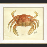 Spicher and Company Crab Frame - Little Miss Muffin Children & Home