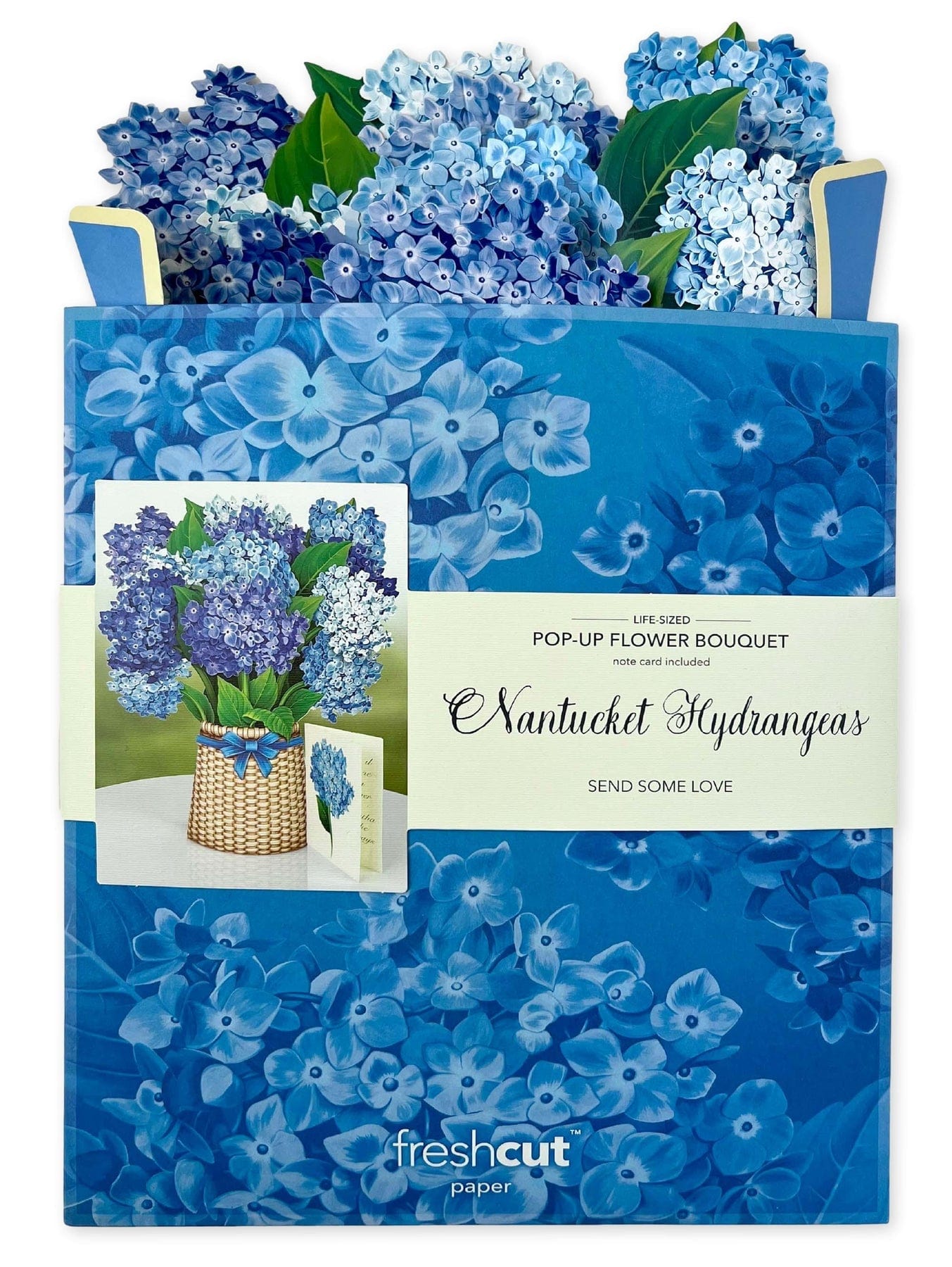 FreshCut Paper FreshCut Paper Nantucket Hydrangea - Little Miss Muffin Children & Home