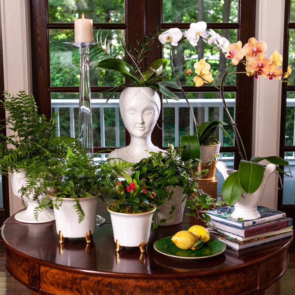 ABI - Abigail's Home Decor Abigail's Large Cachepot - Little Miss Muffin Children & Home