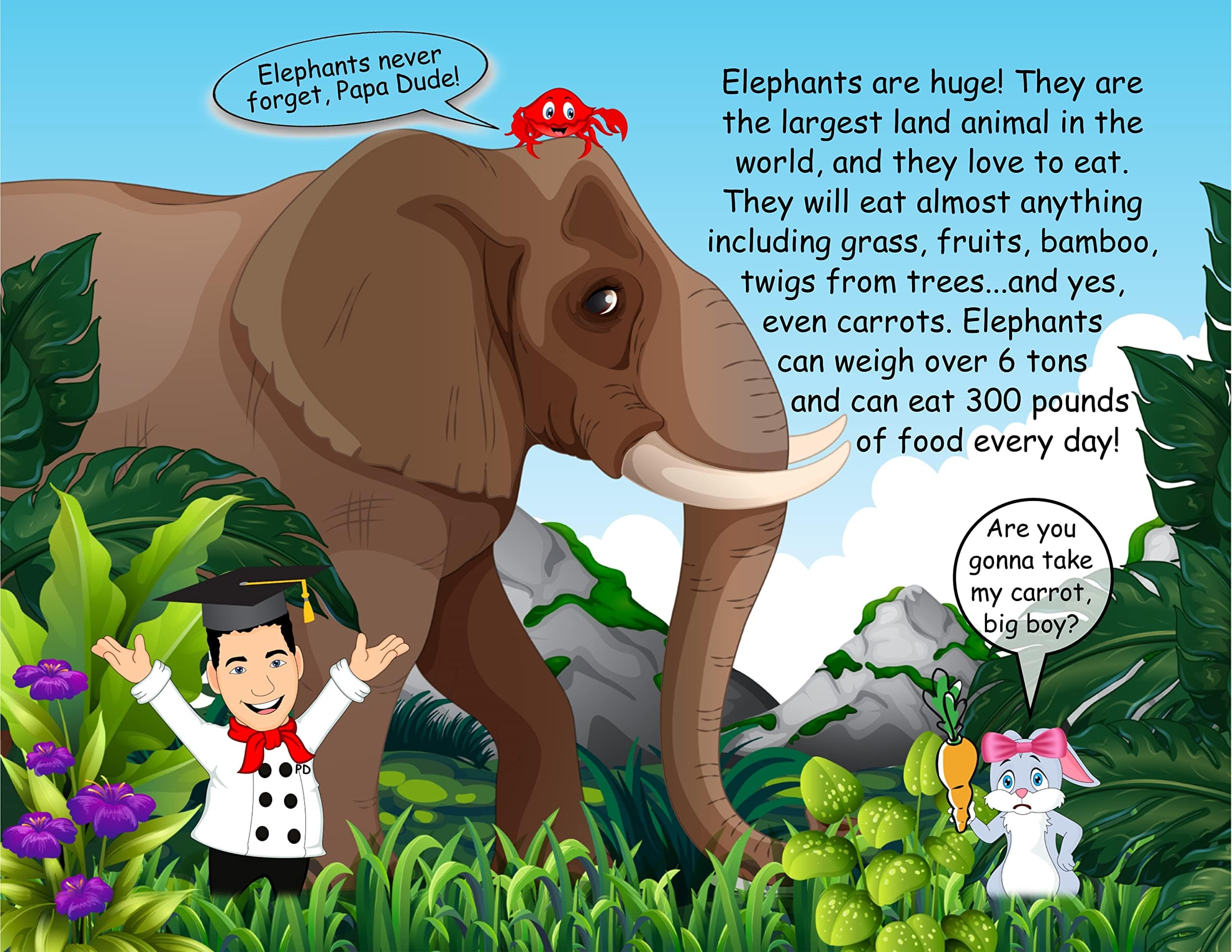 NIA'S JUST FOR KIDS, INC How High Can You Count? Papa Dude - Little Miss Muffin Children & Home