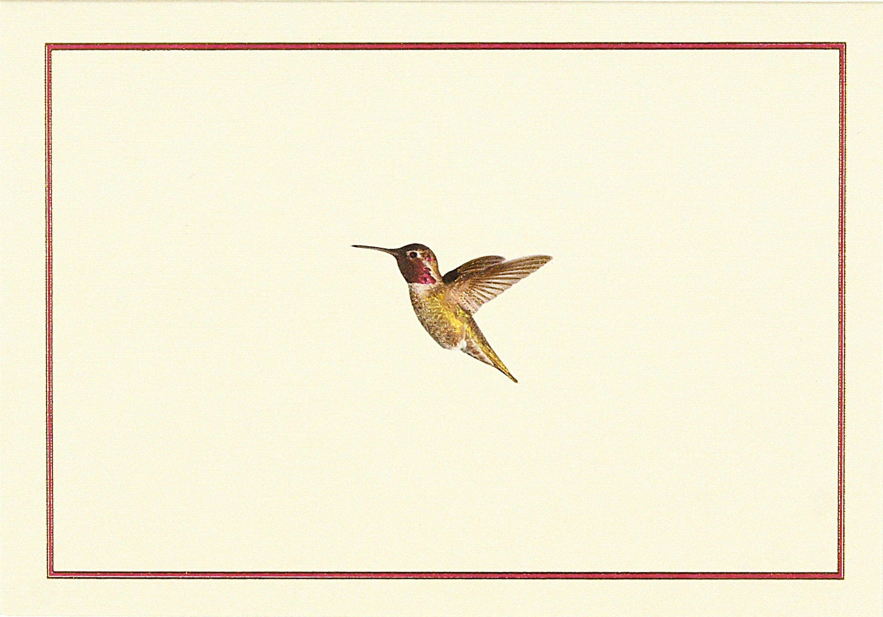 Peter Pauper Press Peter Pauper Press Hummingbird Flight Note Card - Little Miss Muffin Children & Home