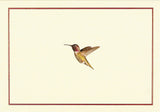 Peter Pauper Press Peter Pauper Press Hummingbird Flight Note Card - Little Miss Muffin Children & Home