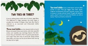 Peter Pauper Press Peter Pauper Press Hug A Sloth Kit - Little Miss Muffin Children & Home