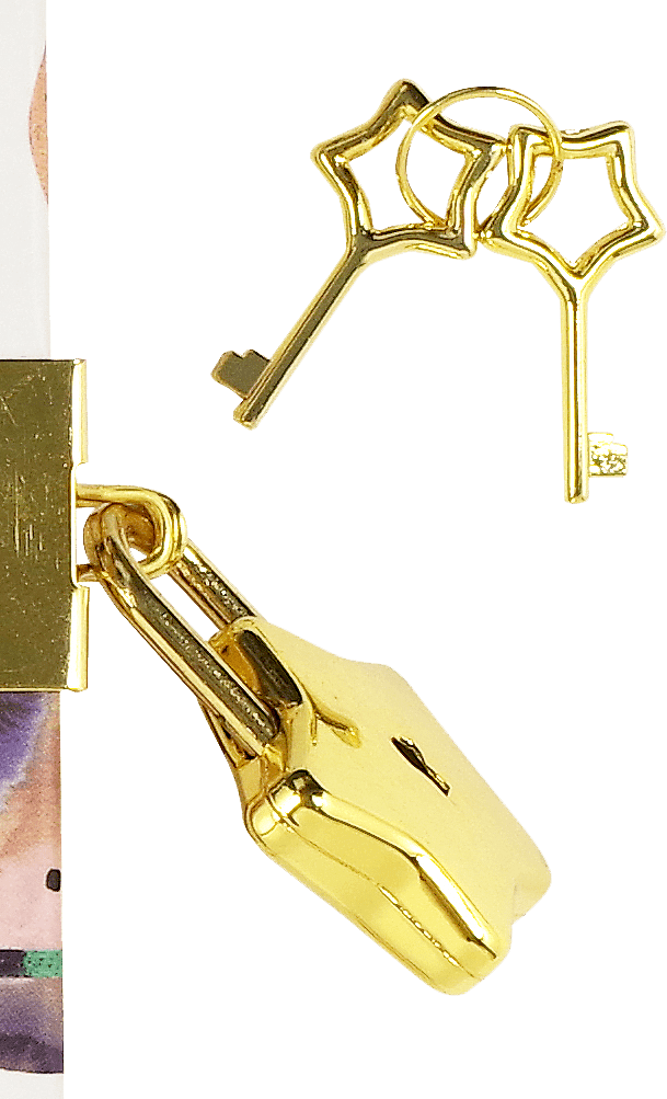 Peter Pauper Press Peter Pauper Press Space Lock Journal - Little Miss Muffin Children & Home