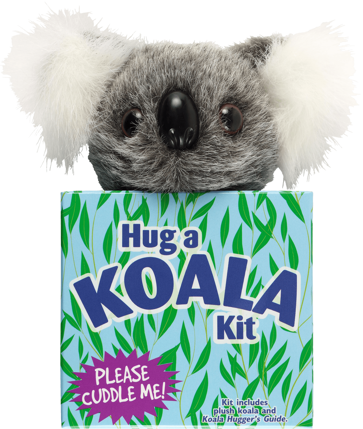 Peter Pauper Press Peter Pauper Press Hug a Koala Kit - Little Miss Muffin Children & Home