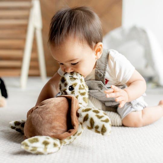 Intelex Usa / Warmies Intelex Usa / Warmies Turtle Warmies - Little Miss Muffin Children & Home