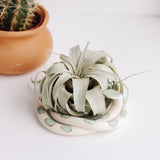 Carter & Rose Carter & Rose Sylvia Ceramic Snake with out Plant - Little Miss Muffin Children & Home