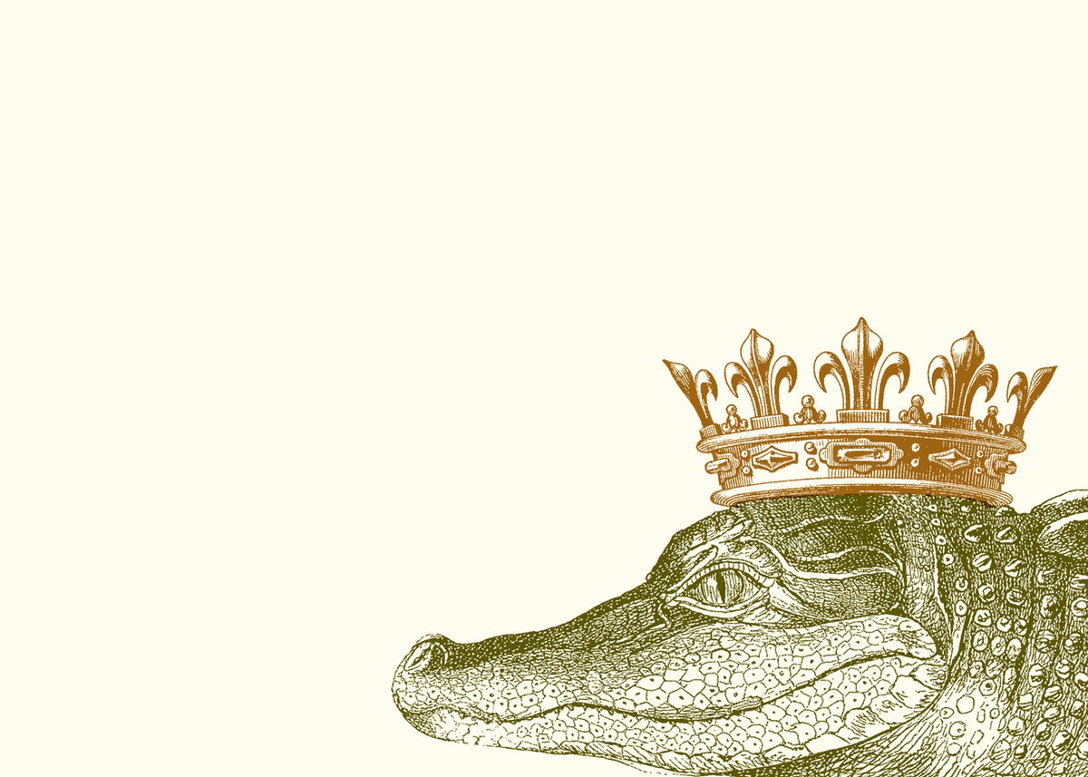 Alexa Pulitzer LLC Alexa Pulitzer King Gator Note Cards - Little Miss Muffin Children & Home