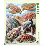 NYP - New York Puzzle Company New York Puzzle Company Turtles - Little Miss Muffin Children & Home