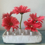 Abigails Abigails 8-Hole Tulipiere Ceramic Boat - Little Miss Muffin Children & Home