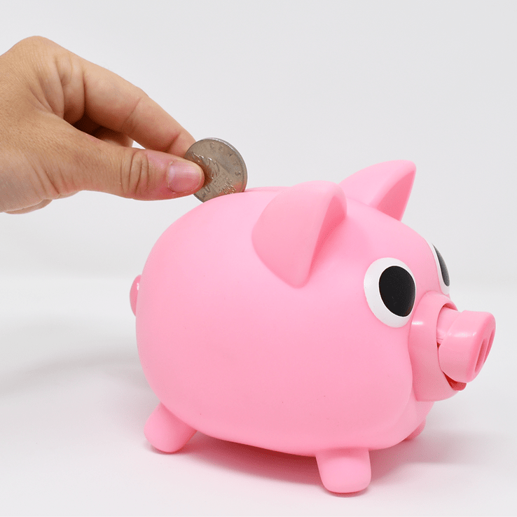 Sankyo Toys Sankyo Toys Pink Jiggy Bank - Little Miss Muffin Children & Home