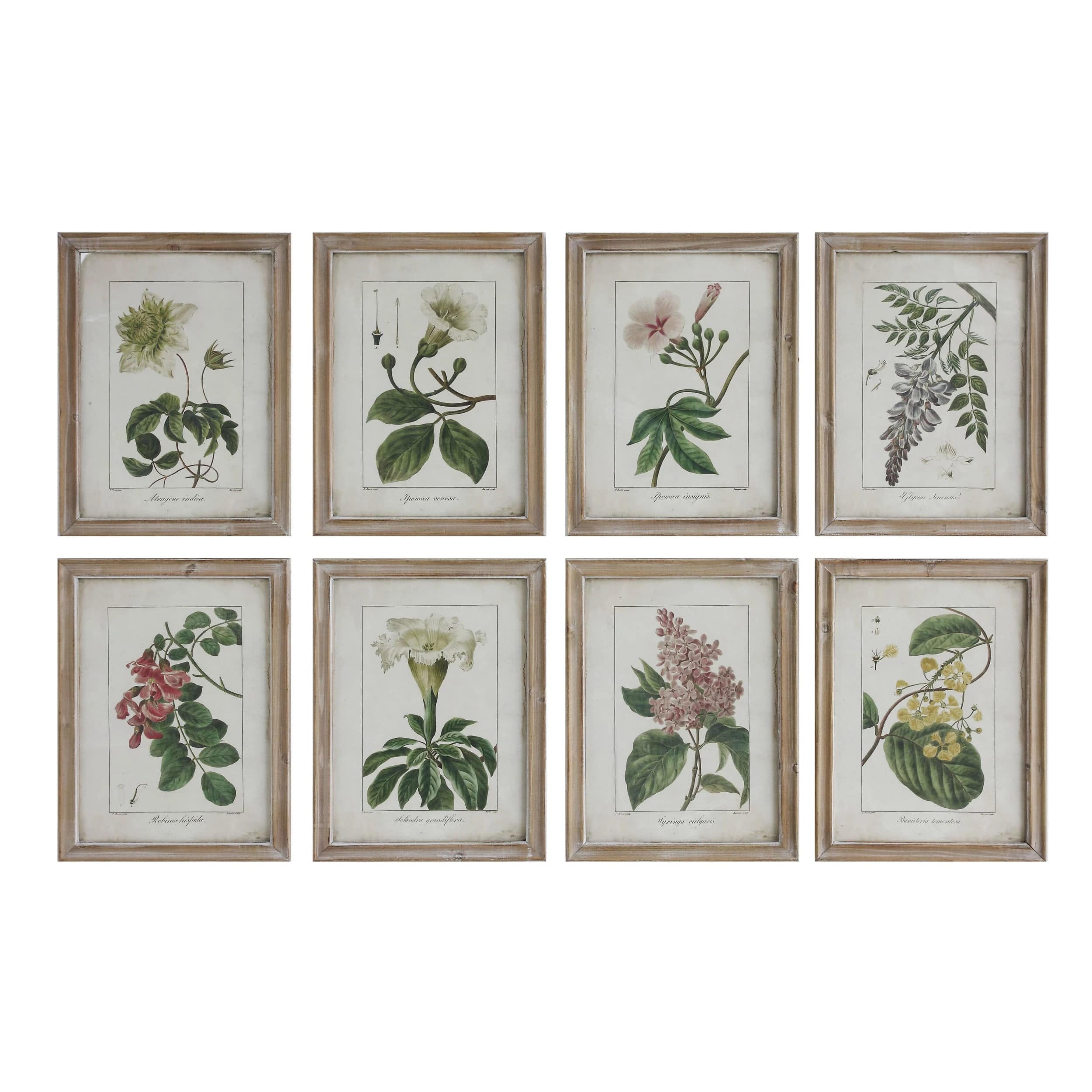 CCO - Creative Co-op Creative Co-op Framed Floral Wall Art - Little Miss Muffin Children & Home