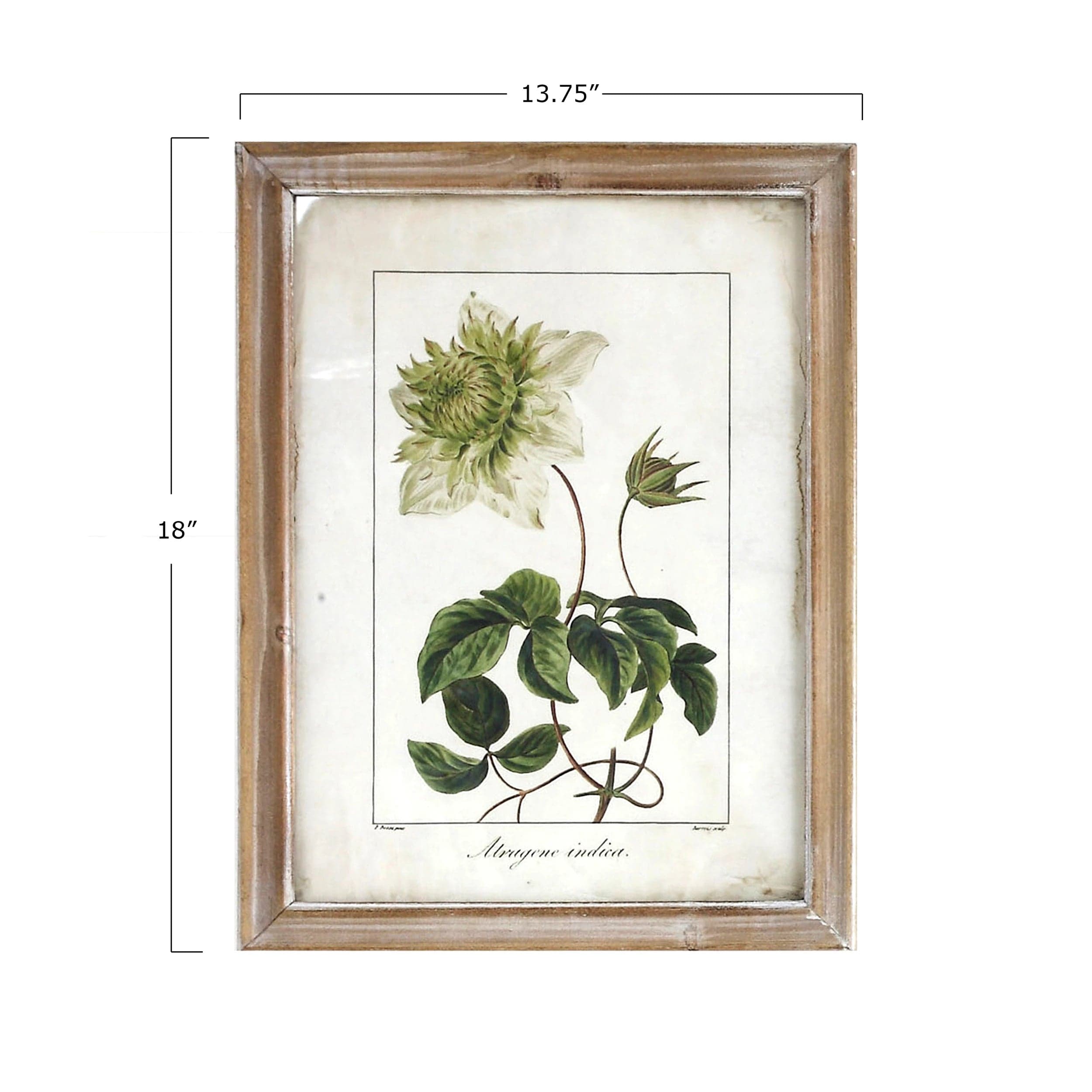 CCO - Creative Co-op Creative Co-op Framed Floral Wall Art - Little Miss Muffin Children & Home
