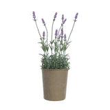 Creative Co-op Creative Co-op Faux Lavender in Paper Pot - Little Miss Muffin Children & Home