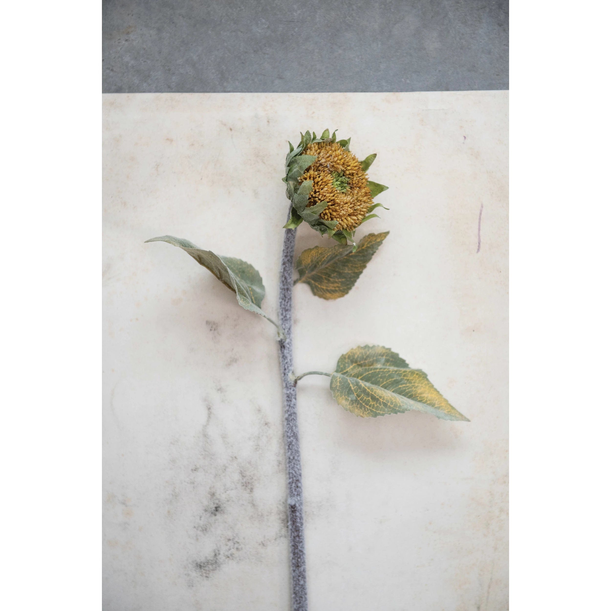 Creative Co-op Creative Co-op Faux Sunflower Stem - Little Miss Muffin Children & Home