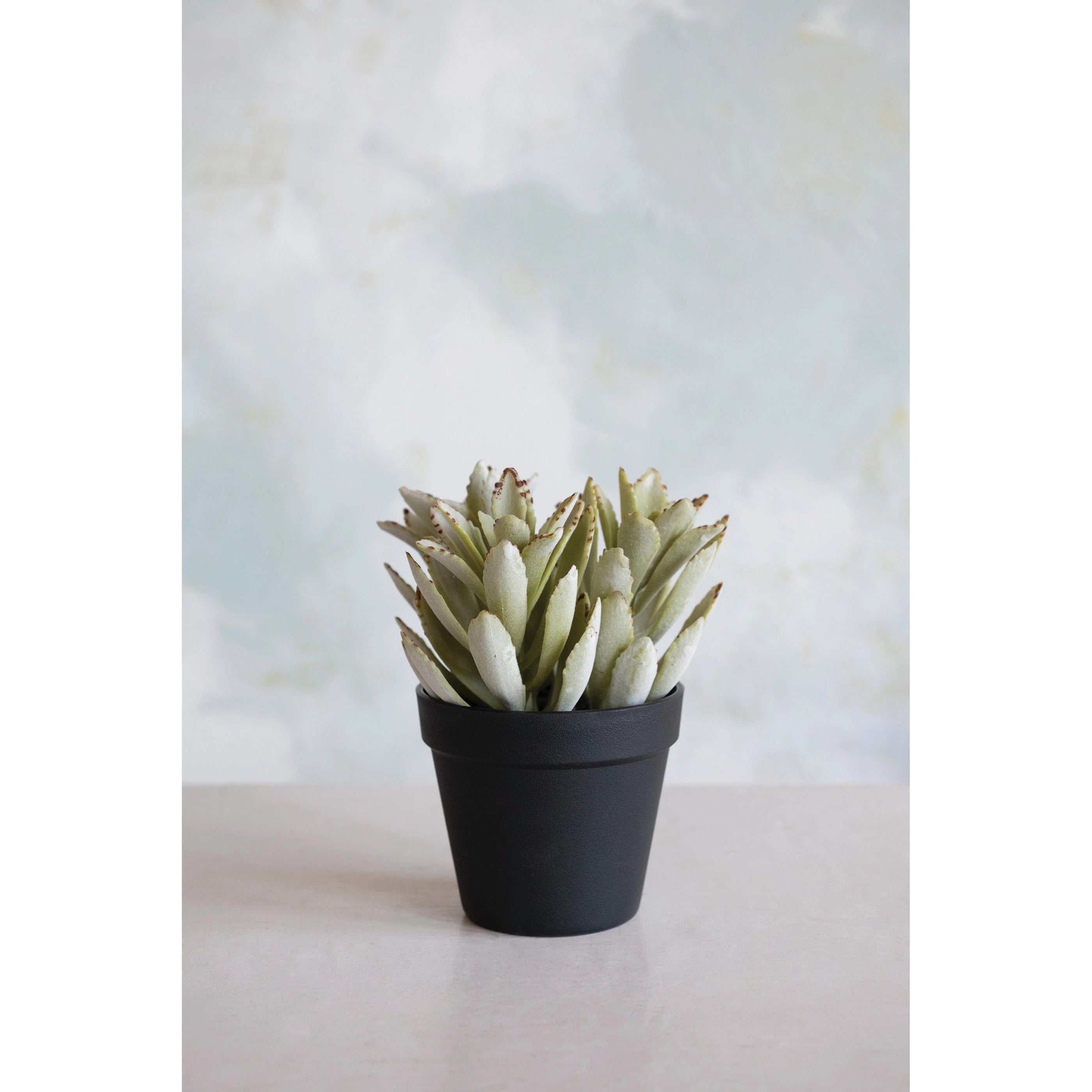 Creative Co-op Creative Co-op Faux Potted Succulent - Little Miss Muffin Children & Home