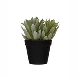 Creative Co-op Creative Co-op Faux Potted Succulent - Little Miss Muffin Children & Home