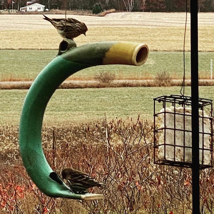 Spooner Creek Designs Spooner Creek Designs Round Bird Feeder - Little Miss Muffin Children & Home