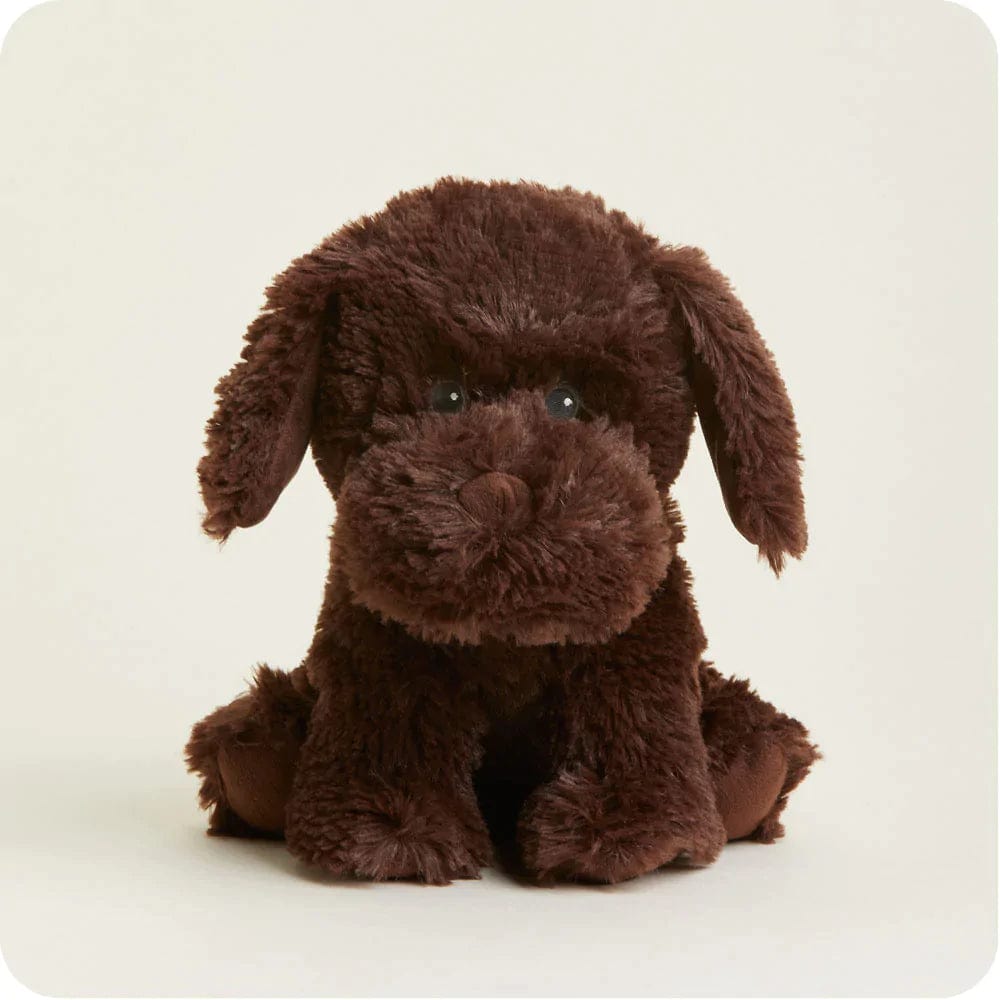 ITX - Intelex Usa / Warmies Warmies Chocolate Labrador Plush Toy - Little Miss Muffin Children & Home