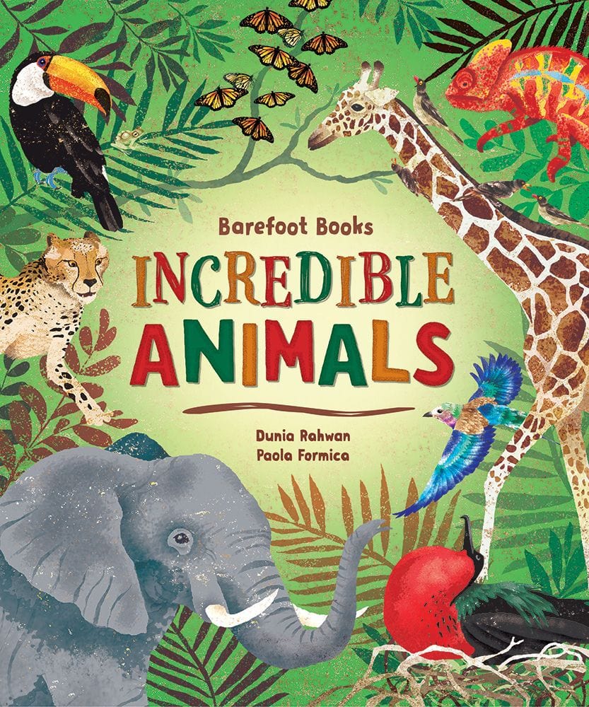 Putumayo Putumayo Barefoot Books Incredible Animals - Little Miss Muffin Children & Home