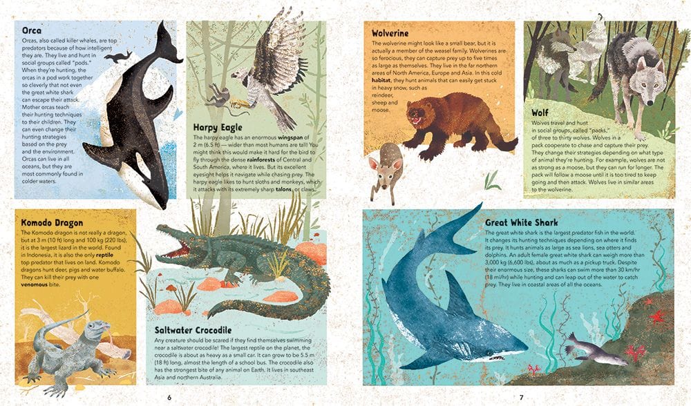 Illustrated Guide to Wildlife - Wildlife Around the World