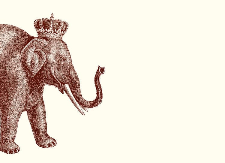 Alexa Pulitzer Alexa Pulitzer Lucky Elephant Notes (10 Pack) - Little Miss Muffin Children & Home