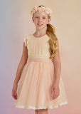 Abel & Lula Abel & Lula Tulle Plumeti Dress - Little Miss Muffin Children & Home