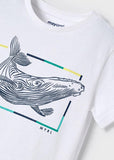 Mayoral Mayoral Short Sleeve Whale Tee - Little Miss Muffin Children & Home